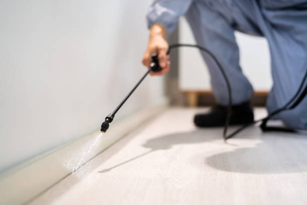 Licensed Pest Control service in Calistoga, CA - Show Me Pest Control