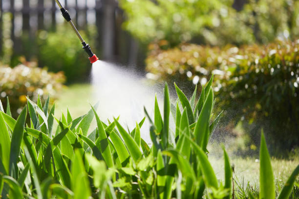 24/7 Emergency Ant Control experts in Calistoga, CA